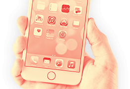 imagen principal contacto