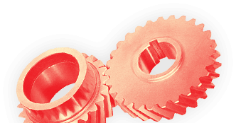 imagen principal servicios